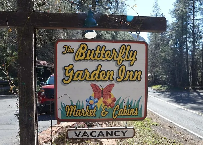 The Butterfly Garden